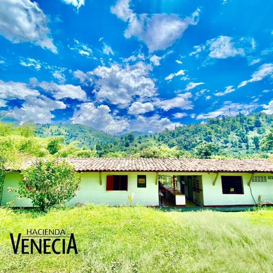 Hostel Hacienda Venecia *