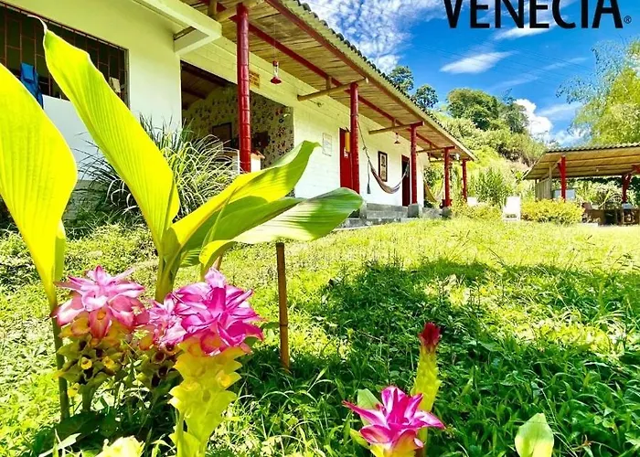 Hacienda Venecia Hostel
