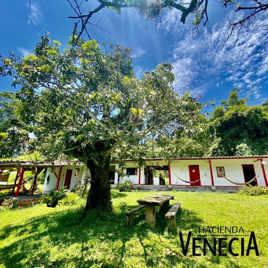 Hacienda Venecia Hostal San Peregrino