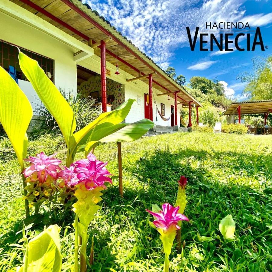 Hostal Hacienda Venecia