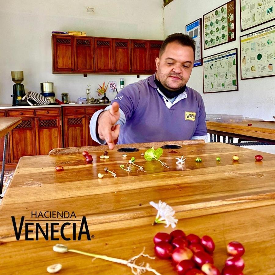 Hacienda Venecia